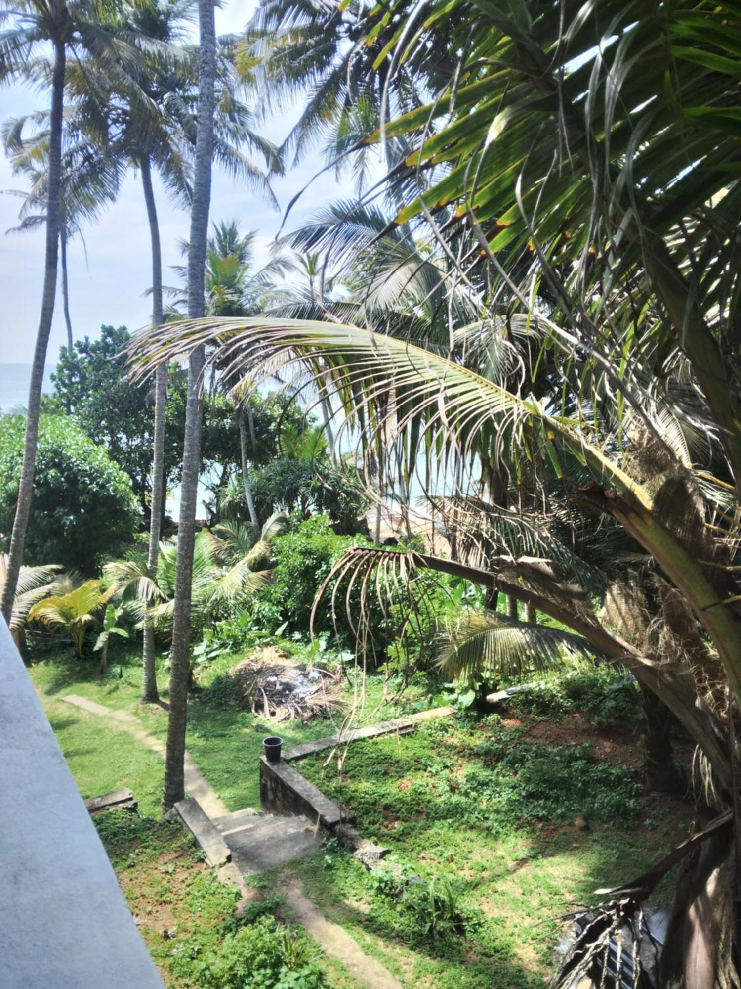 Sunray Rest - Beach View Homestay Mirissa Exterior foto
